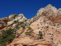 DSC08110.JPG DSC08110.JPG