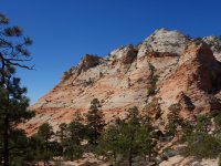 DSC08222.JPG DSC08222.JPG