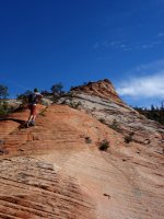 DSC08248.JPG DSC08248.JPG