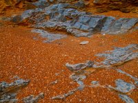 Dominguez Canyon 8.jpg