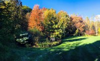 Oct21-yard-panorama--IMG_2308.jpg