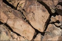 _MG_6885.jpg _MG_6885.jpg