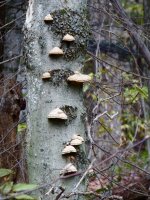 fullsizeoutput_2f2d.jpeg fullsizeoutput_2f2d.jpeg