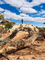 A662EBF2-7E1F-4FE8-8264-04B11294780F.jpeg A662EBF2-7E1F-4FE8-8264-04B11294780F.jpeg