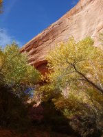 DSC08343.jpg DSC08343.jpg