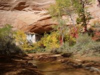 DSC08348.JPG DSC08348.JPG