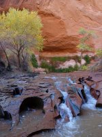 DSC08354.jpg DSC08354.jpg