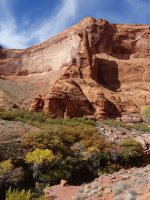 DSC08386.jpg DSC08386.jpg