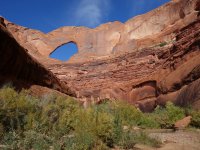 DSC08418.jpg DSC08418.jpg