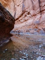 DSC08440.jpg DSC08440.jpg