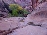 DSC08455.jpg DSC08455.jpg