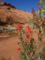 DSC08587.jpg DSC08587.jpg