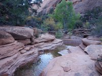 DSC08622.jpg DSC08622.jpg