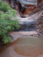 DSC08855.jpg DSC08855.jpg