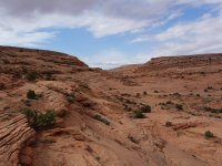 DSC08896.jpg DSC08896.jpg