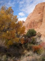 DSC08917.jpg DSC08917.jpg