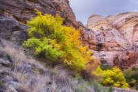 Death Hollow II Oct 20180850-recipe.jpg