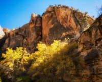 Death Hollow II Oct 20181623-recipe-crop.jpg