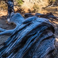 Death Hollow II Oct 20180411-proc-sq.jpg