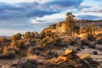 Death Hollow II Oct 20180681-recipe-s.jpg