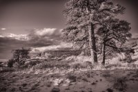 Death Hollow II Oct 20180696-bw.jpg