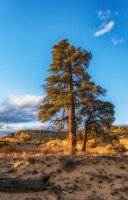 Death Hollow II Oct 20180698-recipe.jpg