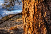 Death Hollow II Oct 20180709-proc.jpg