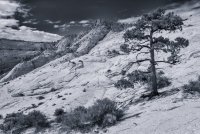 Death Hollow II Oct 20180828-bw.jpg