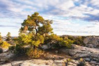 Death Hollow II Oct 20181026-recipe.jpg