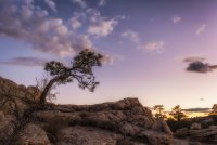 Death Hollow II Oct 20181120-recipe.jpg