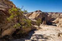 Death Hollow II Oct 20181595-proc.jpg