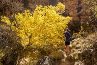 Death Hollow II Oct 20181663.jpg