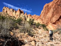 image.jpeg image.jpeg