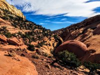 image.jpeg image.jpeg