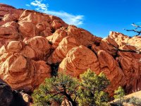 image.jpeg image.jpeg