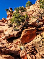 image.jpeg image.jpeg