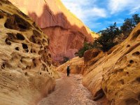 image.jpeg image.jpeg