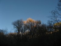 IMG_5493.JPG IMG_5493.JPG