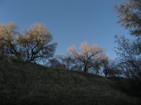 IMG_5499.JPG IMG_5499.JPG