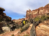 image.jpeg image.jpeg