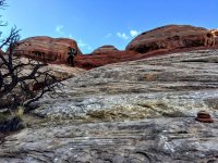 image.jpeg image.jpeg