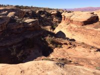 IMG_2698.JPG IMG_2698.JPG