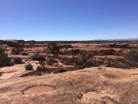 IMG_2702.JPG IMG_2702.JPG