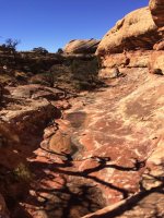 IMG_2715.JPG IMG_2715.JPG