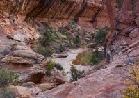 DSC04432.jpg DSC04432.jpg