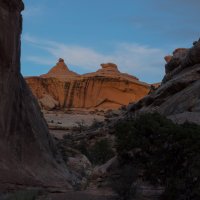 DSC04444.jpg DSC04444.jpg