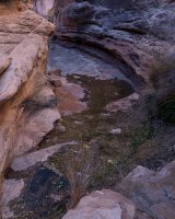 DSC04504.jpg DSC04504.jpg