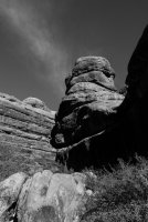 DSC04540.jpg DSC04540.jpg