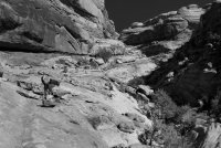 DSC04559.jpg DSC04559.jpg