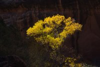 DSC04604.jpg DSC04604.jpg